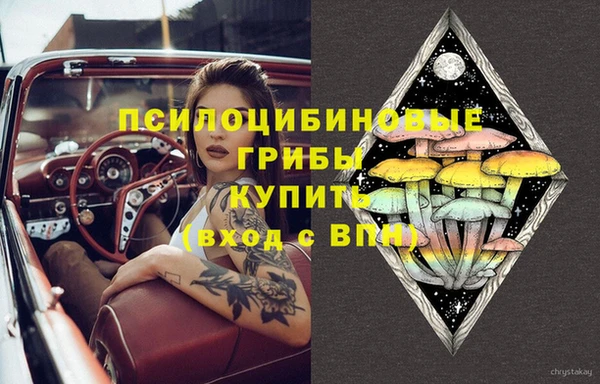 2c-b Армянск